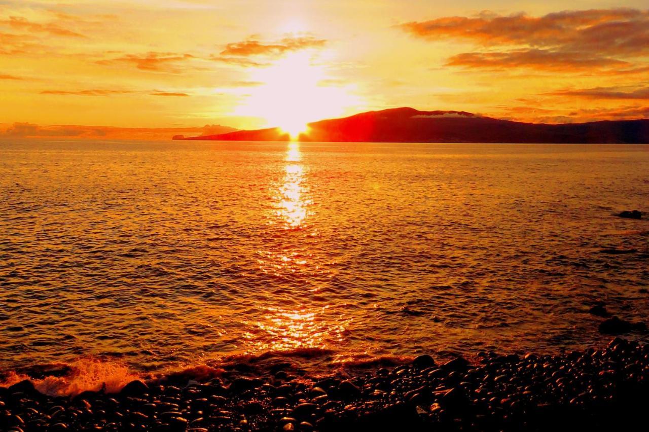 Conves Daire Monte  Dış mekan fotoğraf